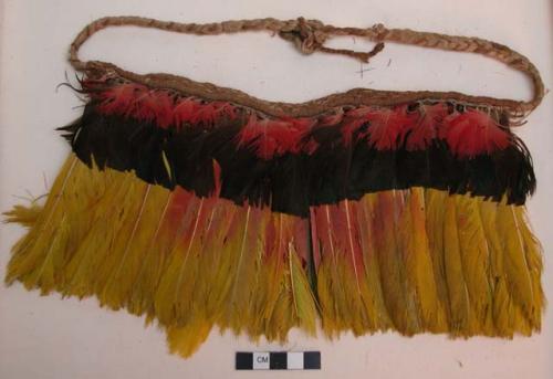 Headdress, feathered