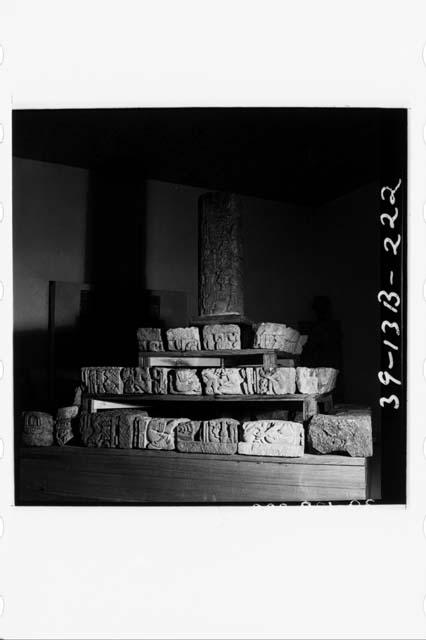 Stela 11 and Glyph Stones from Temple 26.