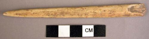Bone awl fragment, 5 in. long.