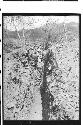 Workers in 5th cut of trench 1-46