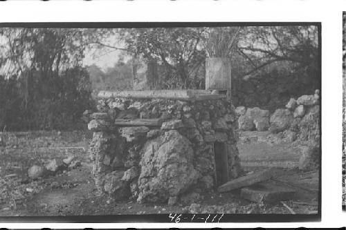 Native Maya Chicken Coop with Onion Bed on Top