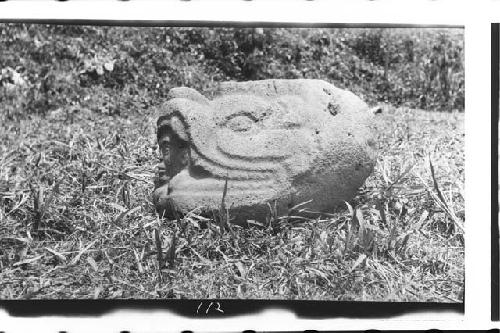 Stone serpent with human head in jaws-in style of Santa Lucia Cotzumalhuapa