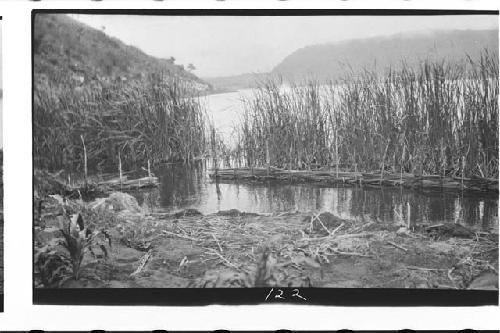 Fish Trap; Lake Atitlan