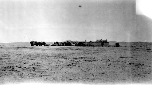 Camels outside building in desert