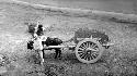 Man with ox pulling cart