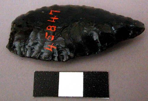 Obsidian flake