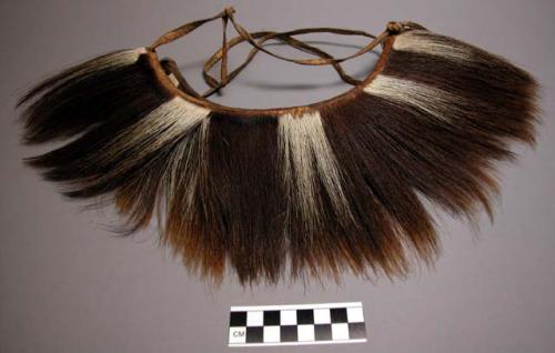 Zebra tail crest - part of medicine man's costume