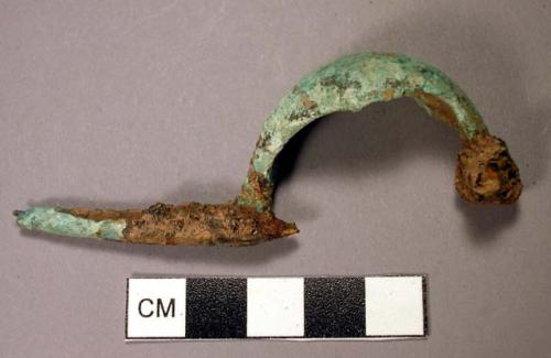 Navicular fibula, fragmentary, remains of iron spring and pin