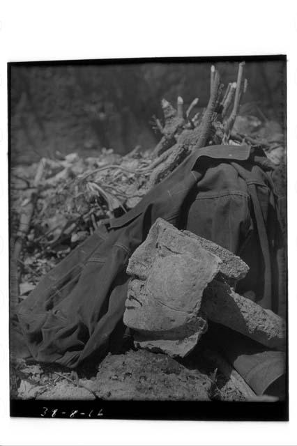 Stucco head, Side view