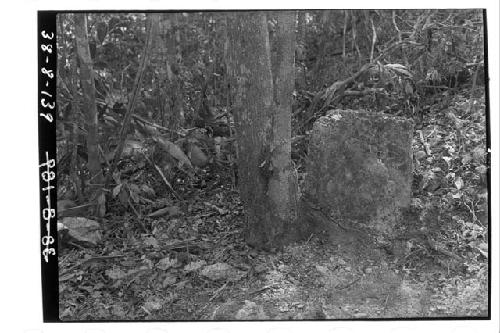 Ball Court, north end, east wall.