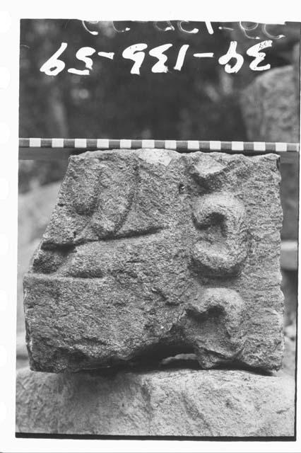 Fragment of panel glyph