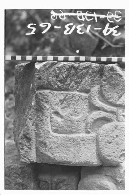 Fragment of panel glyph