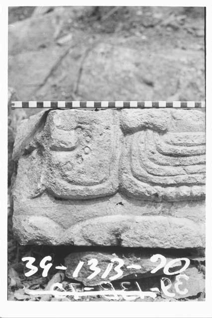 Fragment of panel glyph