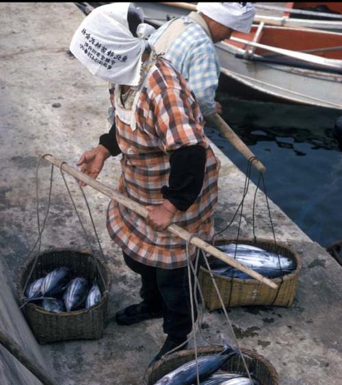 Fishing industry near Shirahama