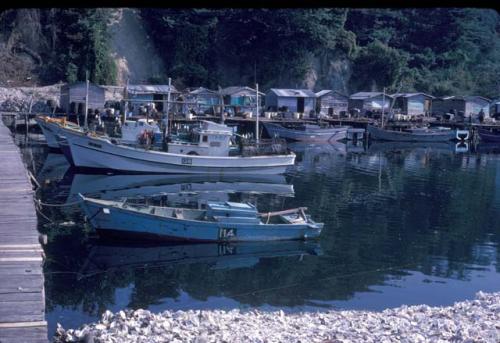 Fishing village, oyster shucking center