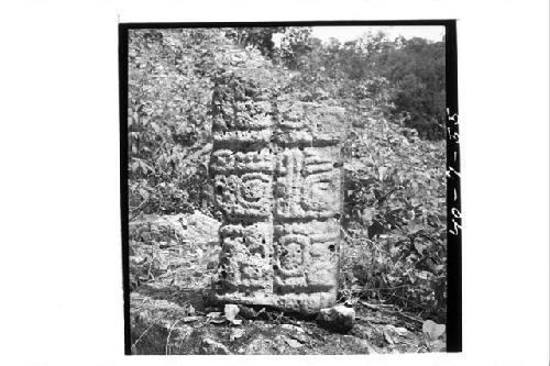 Stela 38, new fragment with terminal date.