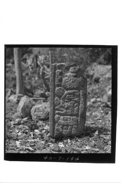 Glyphic Lintel Bldg. stone from right jamb.