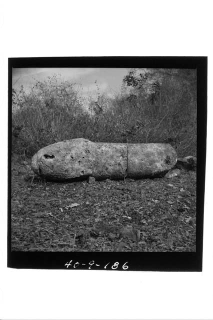 Stone phallus, broken in 4 parts; two parts in photo.