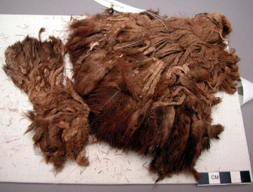 Organic, fiber bundle, braided fibers, feathers attached