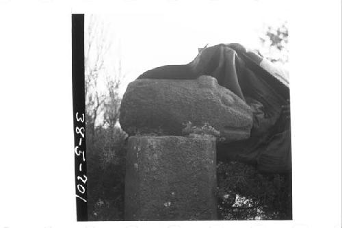 Stone tiger head with tenon (right profile)