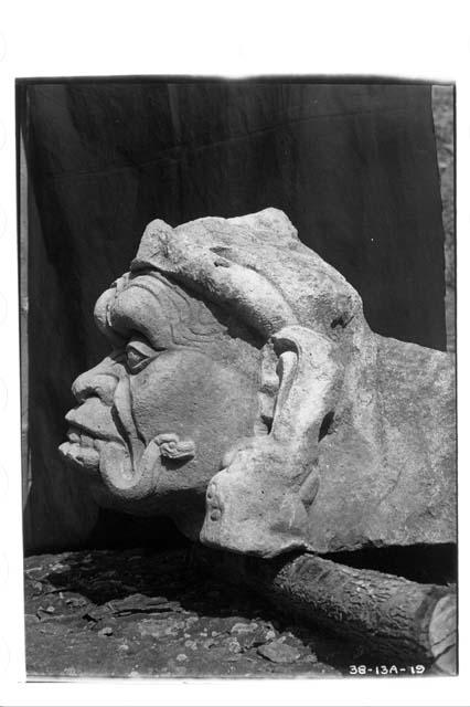 Left side of sculptured head