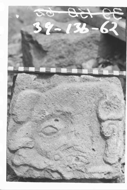 Fragment of panel glyph