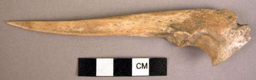 Bone awl from deer ulna