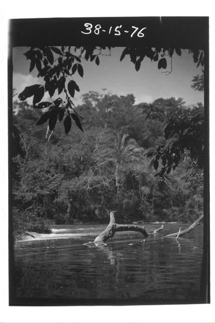 Mopan River in Front of Soccotz looking toward Hill of Benque Viejo Ruins