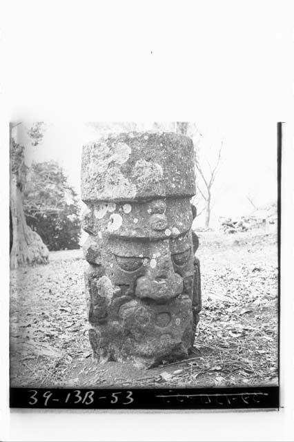 Head with mouth-plate on column