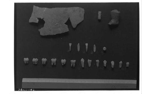 1938 Specimens 63-64-67-70.