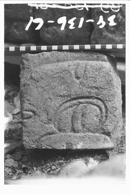 Fragment of panel glyph