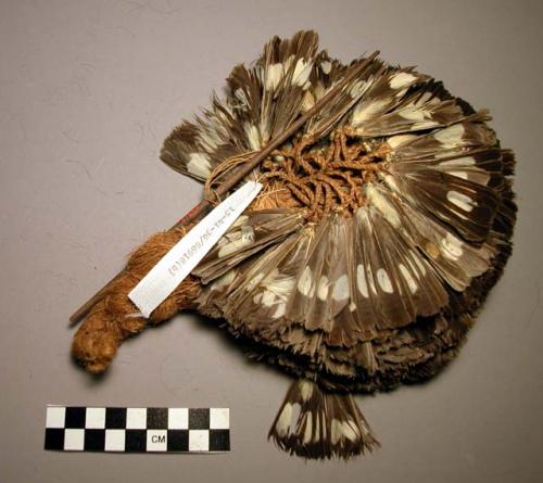 Feather ornament