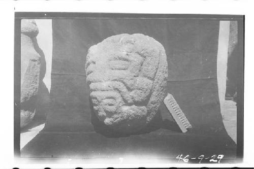 Sculptured stone jaguar head with human face in mouth-from Chuaj group. Ht. 30 c