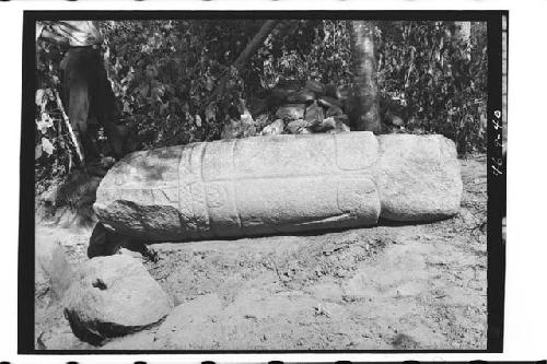 Detail of fallen section of sculptured monument. 46-9-39 shows 3/4 rear view of