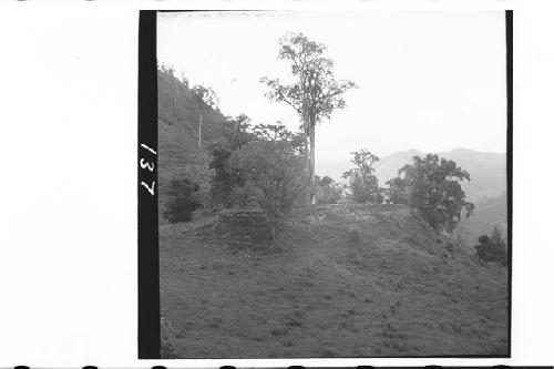 Looking east at ruins of Tzicuay