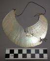 Shell ornament for breast