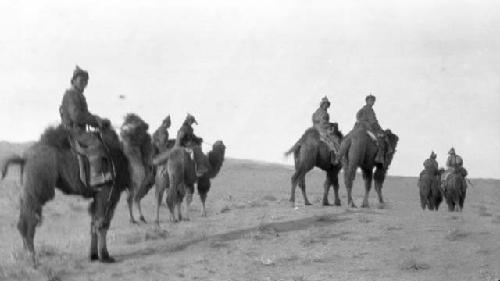 People riding camels in the desert