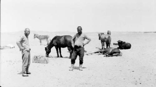 Men and donkeys in desert