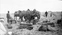 People and camels at a camp site