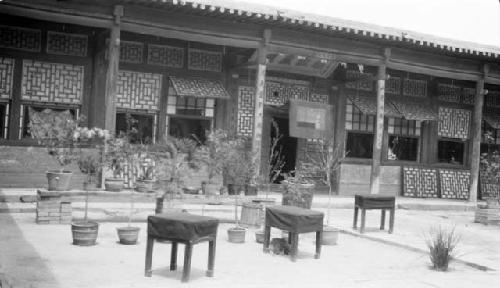 Courtyard with potted plants