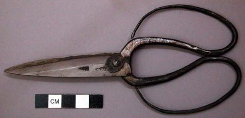 Plain Pair of Iron Scissors