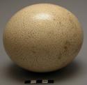Water container - ostrich eggshell