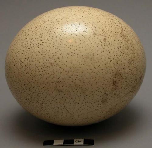 Water container - ostrich eggshell