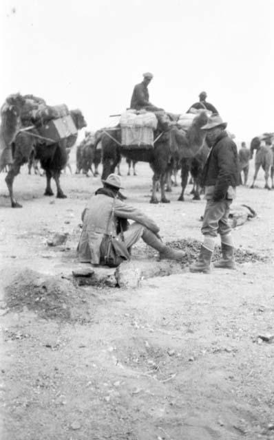 People and camels in desert