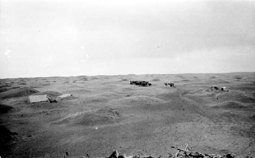 Cluster of camels in desert