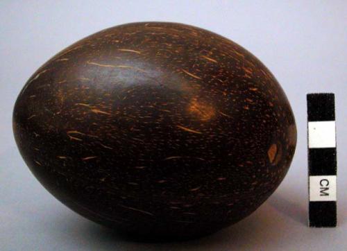 Coconut shell