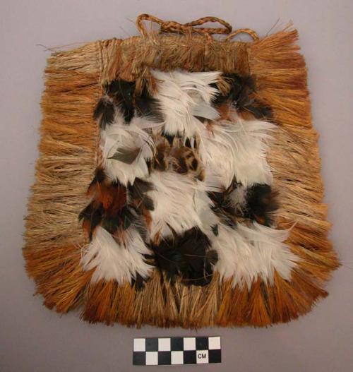 Feather ornamented bag