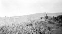 Man standing in desert by vegetation