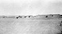 Animals pulling cart through desert