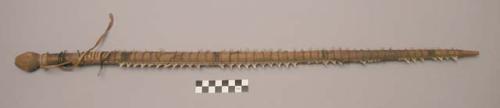 Shark's tooth sword whose foundation is light rough wood